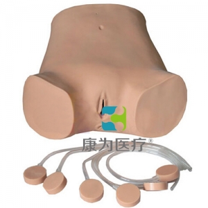 “康為醫(yī)療”高級電子腹腔穿刺訓(xùn)練標(biāo)準(zhǔn)化模擬病人,腹腔穿刺訓(xùn)練模型