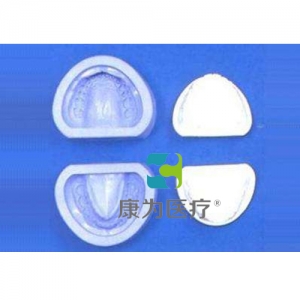 “康為醫(yī)療”全口牙列模型陰模